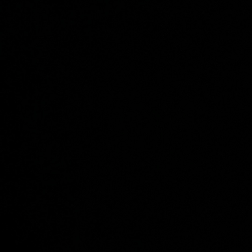 Meet your Posher, Sophia